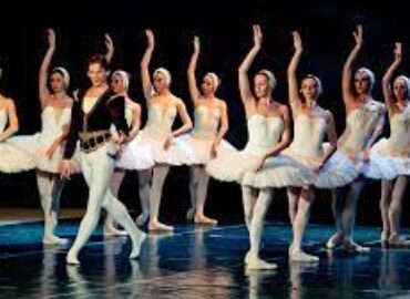 Arizona Luxury Art Club